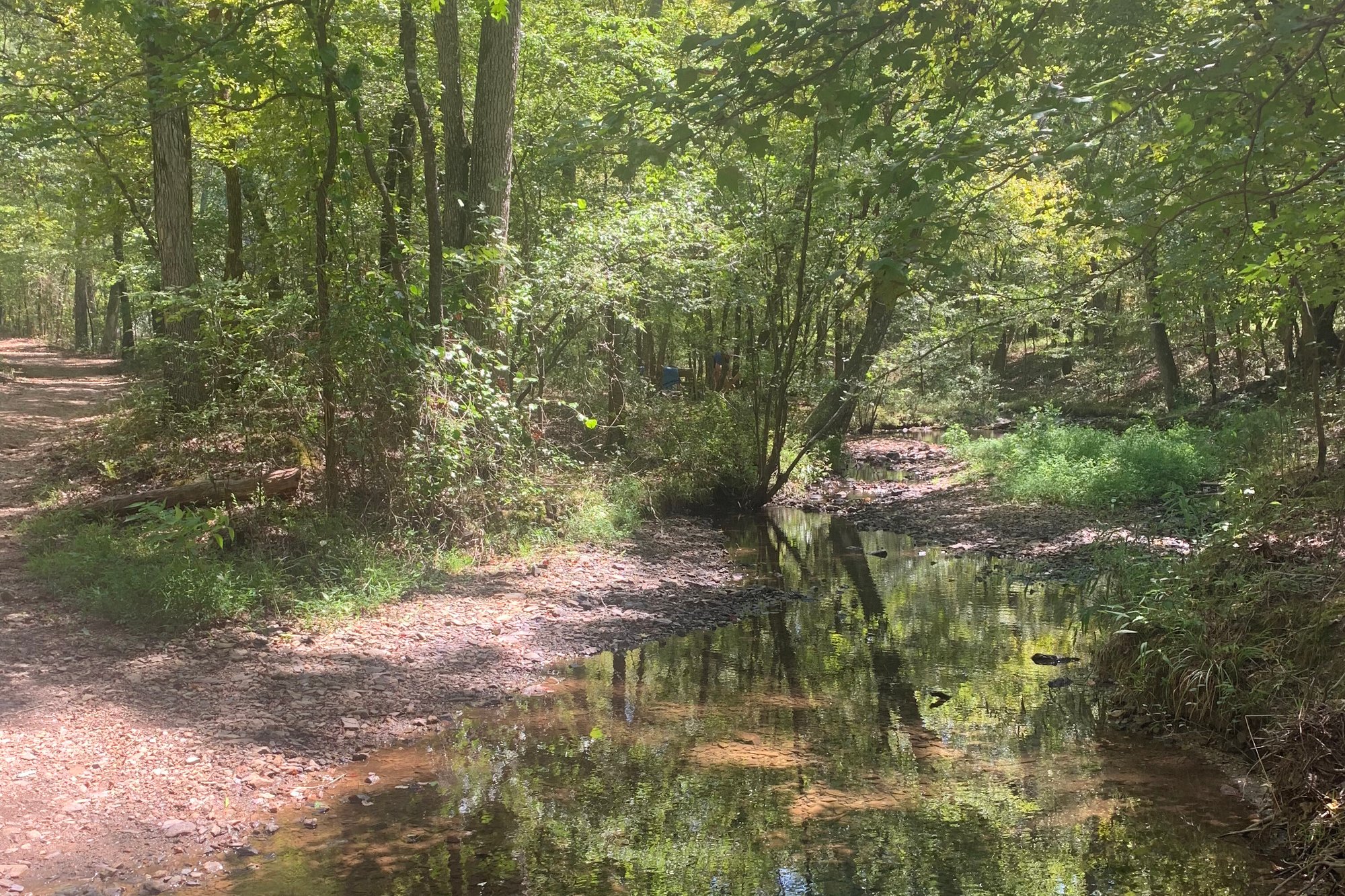 Berry Trail