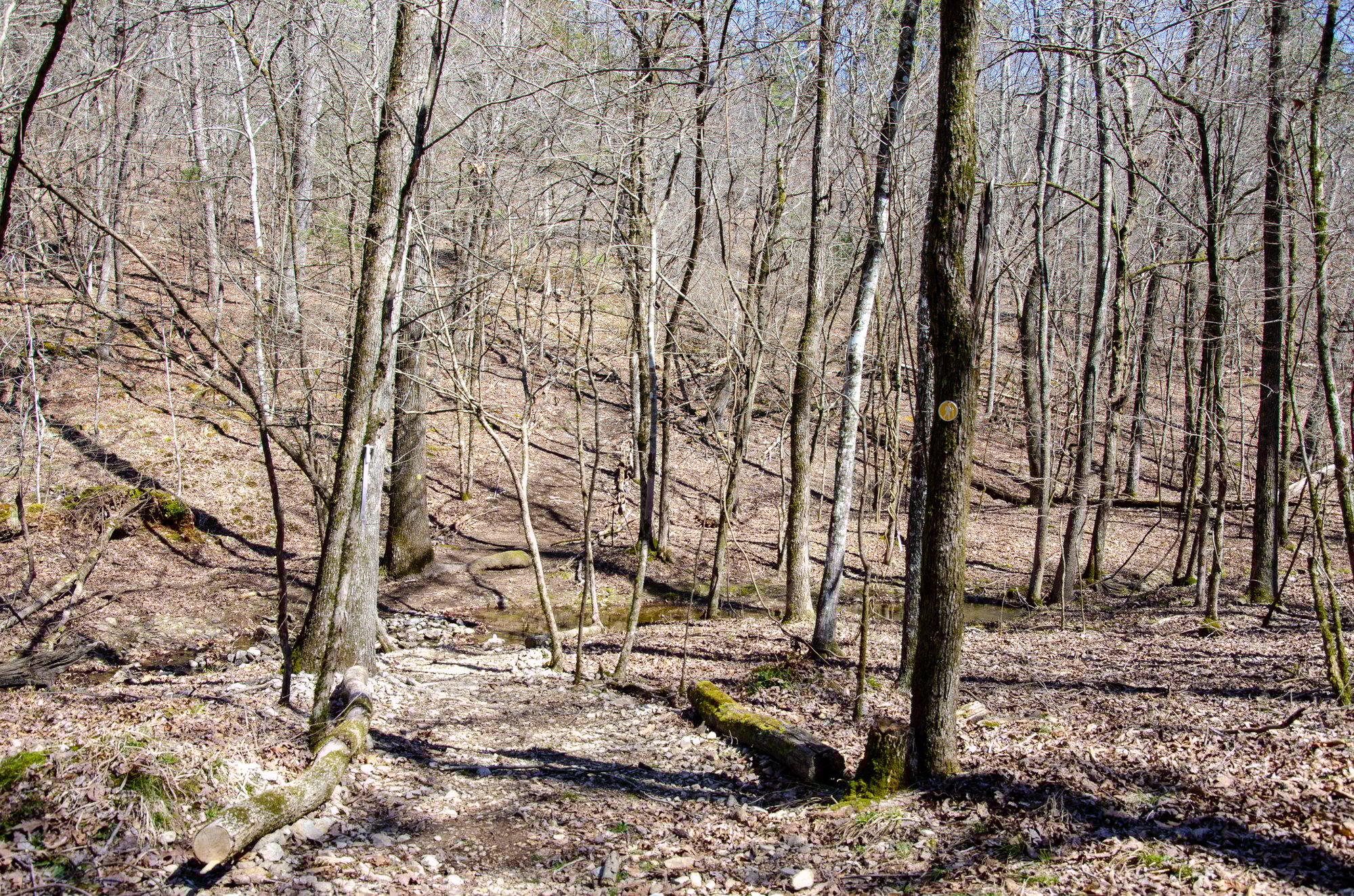 Two Vultures Trail Head