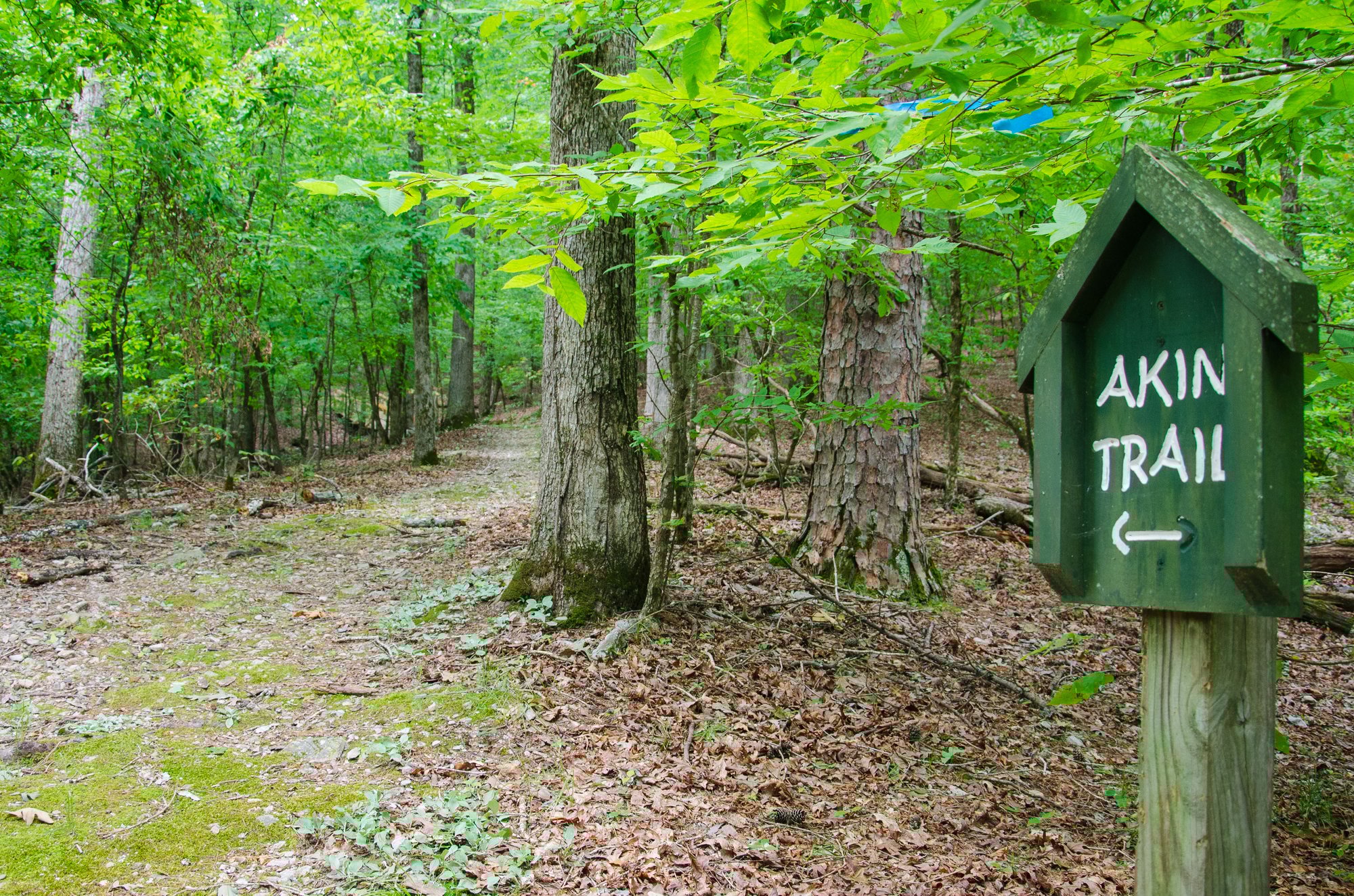 Akin Trail Head