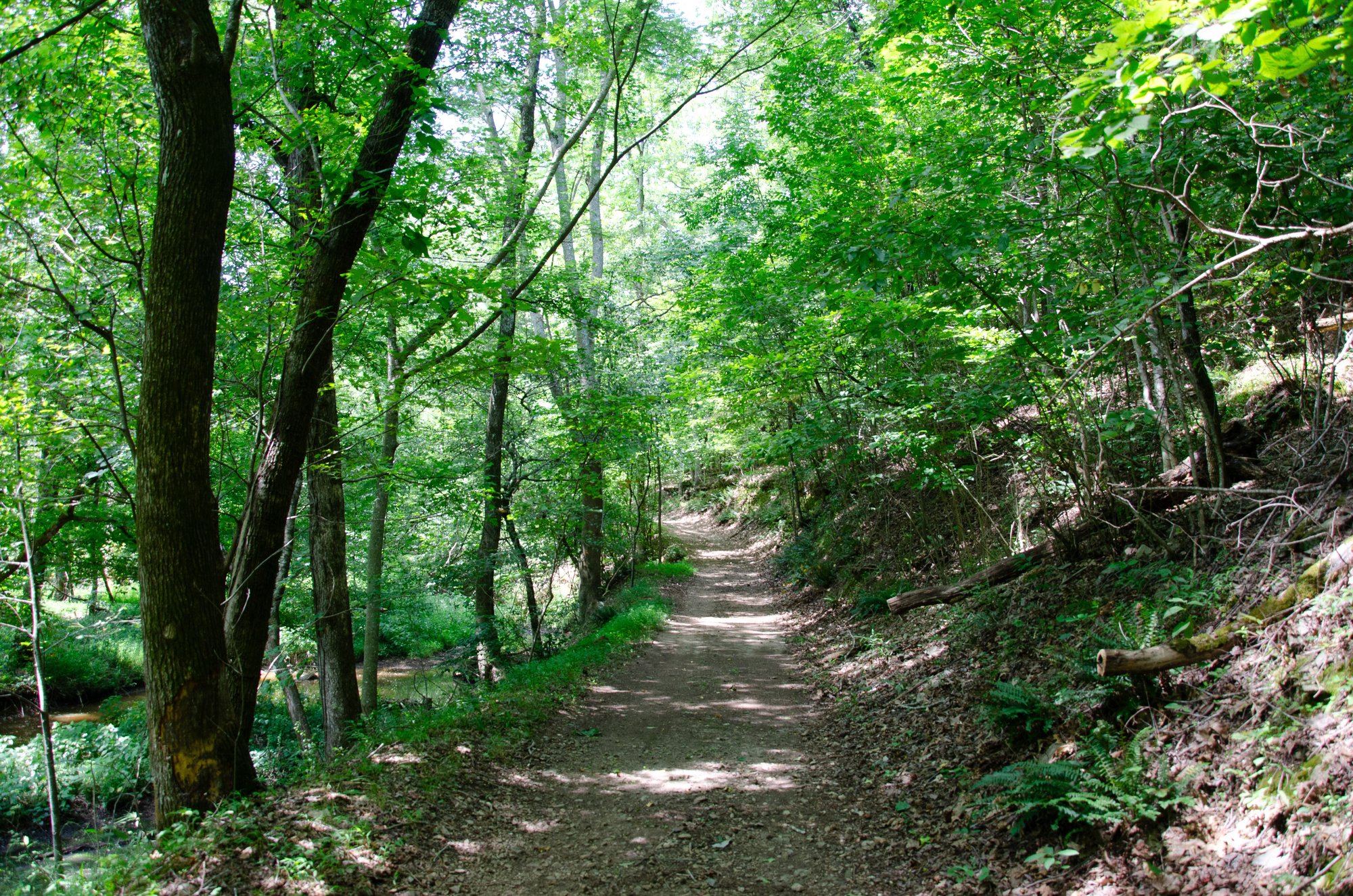 Luke Trail