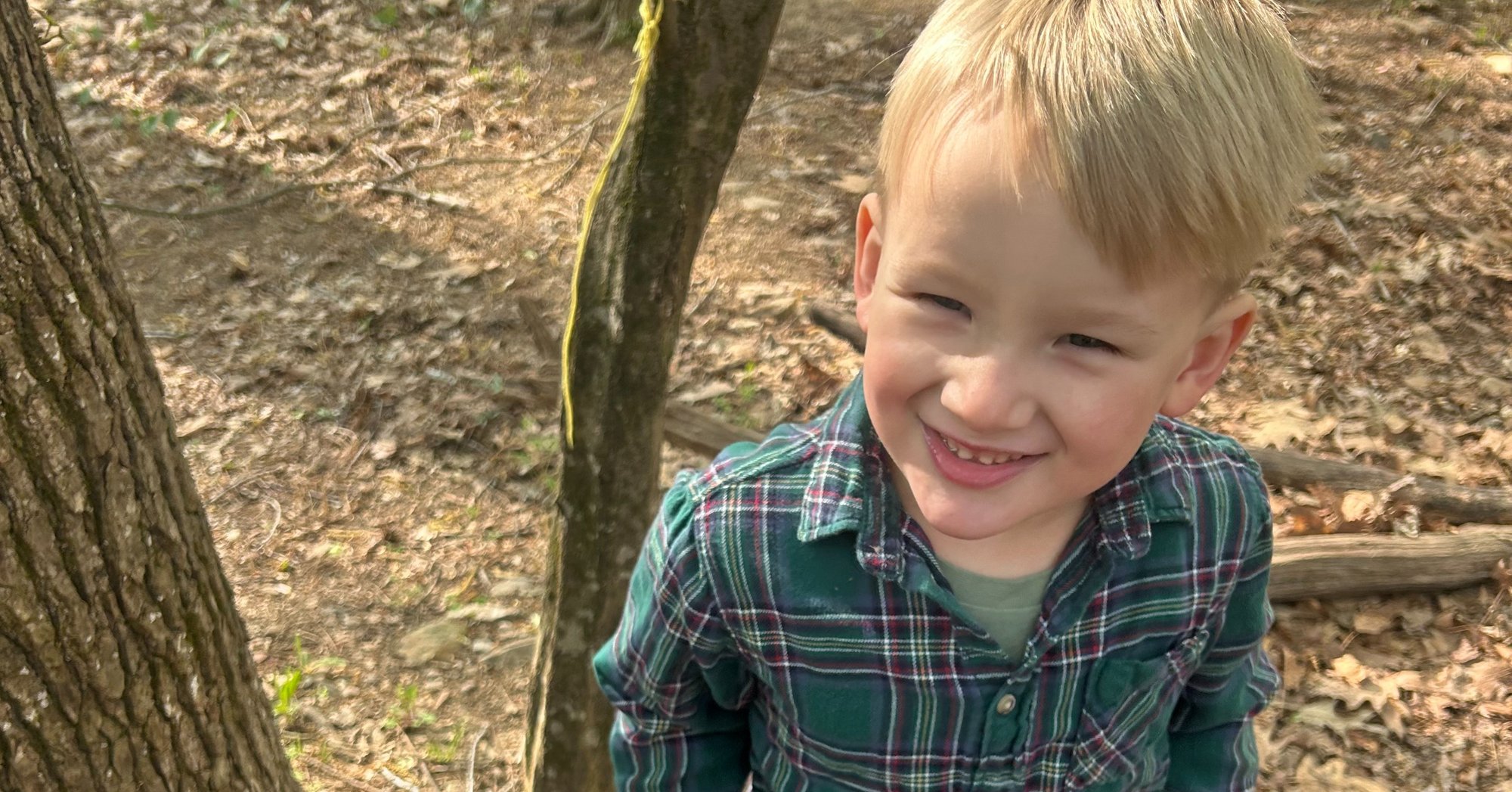 Owen DOG-1 Owen DOG-1